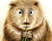 Water Vole - original portrait in watercolour