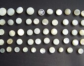 50 Vintage Shell Shank Buttons