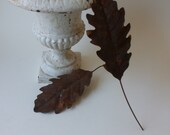 hold for jenny - two vintage rusty tin leaves
