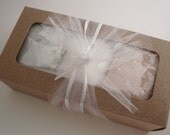 Trio Pack Frizzy Lizzy Bath Bomb/ Creamy Vanilla, Bamboo and Teak and Coffee Cake and Cinnamon