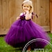 Perfectly Plum Tutu Dress