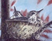 Bird Art Print HUMMINGBIRD NEST Animal Wildlife Open Edition Fine Art Giclee, Wall Decor Wall Art