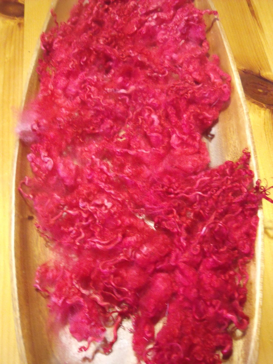 Lovely hand dyed Border Leicester tiny curls locks