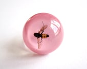 Little Striped Fly - Resin ring - Size S