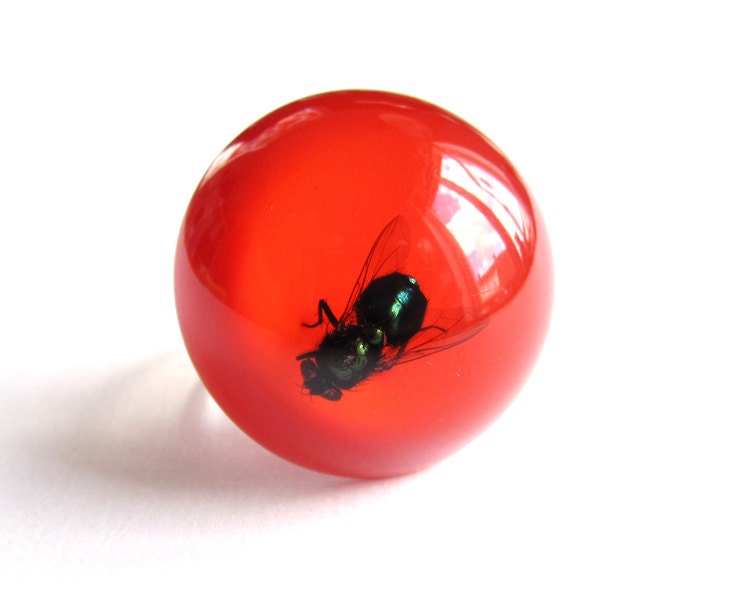 Green Bottle Fly in Red - Resin ring - Size S