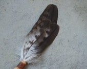 Smudging Fan - Hawk feathers - spiritual cleansing tool
