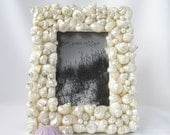 Beach Decor Pearl Seashell Frame - Nautical Decor Shell Frame of All White Turbo Shells, 5x7