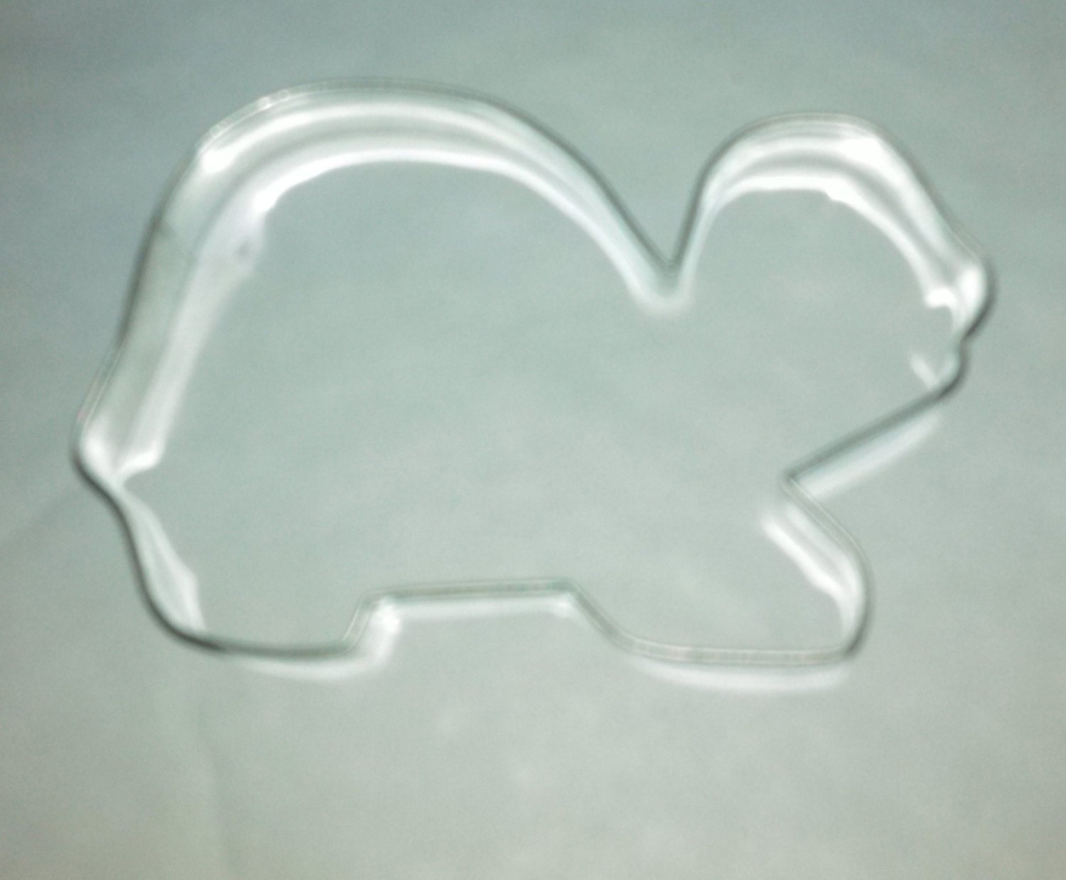 Turtle  Cookie Cutter Made in USA 4" x2.5'x.5"