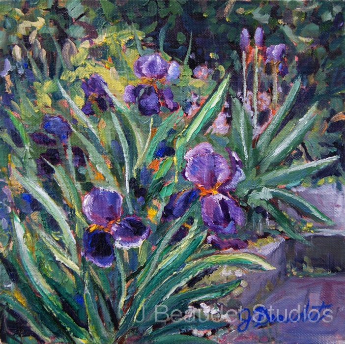 Print of Original oil painting floral flowers Irises Garden 8x8 shabby chic cottage