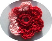 Stunning verigated red crochet flowers