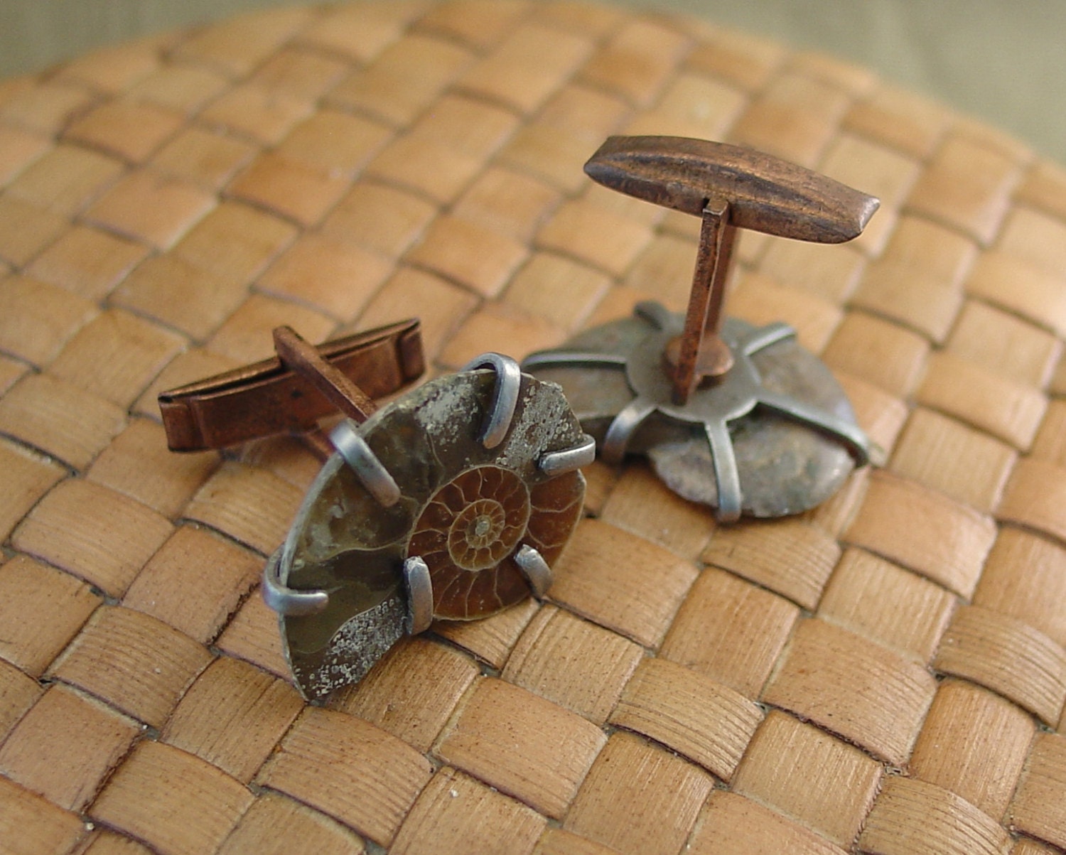 Ammonite Fossil Cuff Links
