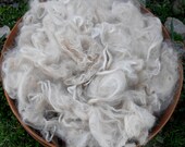 Suri Alpaca Fiber, 8 1/2", White, 8 Ounces, Natural Color, Ikon. Suri Locks by AlpacaMeadows on Etsy.
