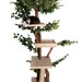 Sycamore Cat Pet Tree House