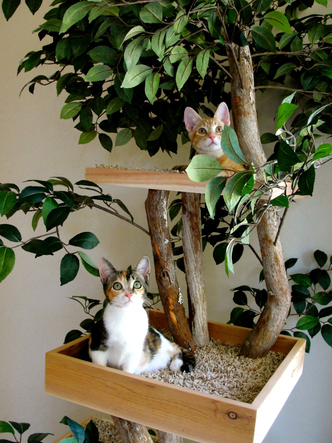 Sycamore Cat Pet Tree House