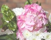 Floral Photography, Still LIfe Photo, Bouquet, Pink Hydrangea, White Chrysanthemum, 8x10 Fine Art Photo
