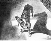 See the Light - Graphite Pencil and Charcoal Original Drawing