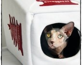Hilarious Chinese Take Out Cat Cave with a FREE Cat Nip Fortune Cookie