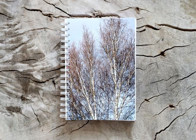 birch trees, nature, original print, spiral journal, 4x6