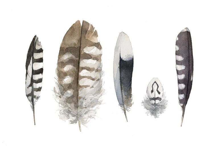 Striped Feathers Watercolor Painting - 5x7 Print