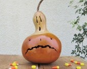 Halloween Gourd Jack O Lantern Ghost Top Natural Fall Harvest Pumpkin Decoration