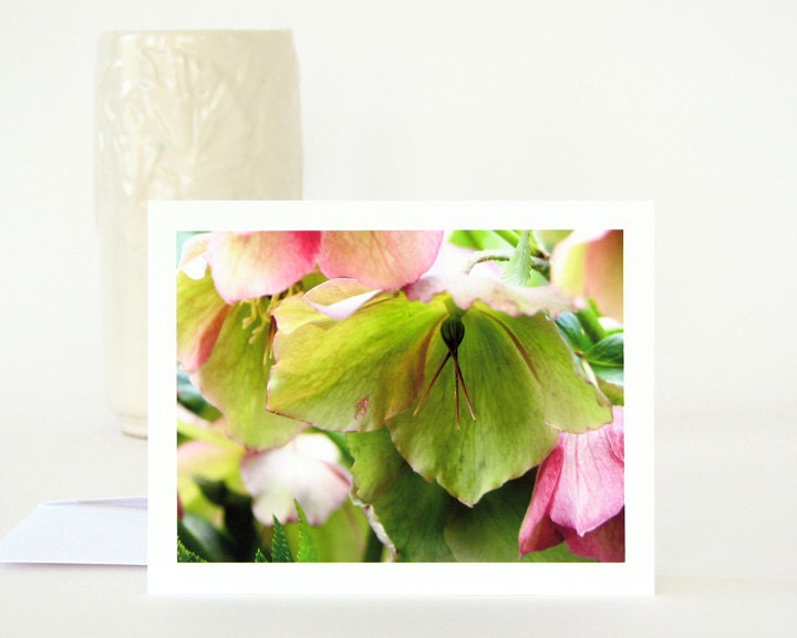 Botanical Photography Blank Note Card Lenten Rose Hellebore Flowers, pastel green soft pink floral all occasion stationery