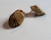 Stain Dipped Thick Cut Oak Earrings - One of a Kind - Wood Jewelry