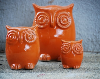 orange Owl family of three