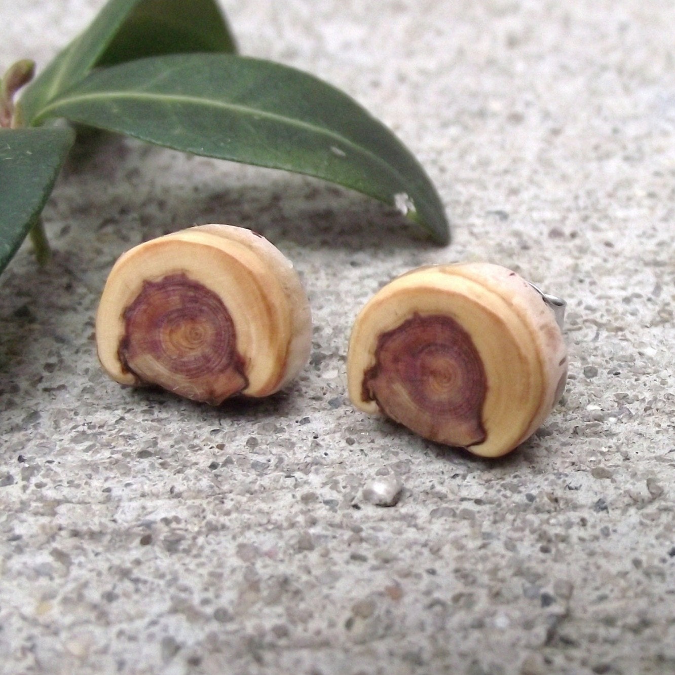 Cedar Wood Stud Earrings Post Earrings - Wooden Post Earrings Handmade from Wood Tree Branch - Natural Wood Jewelry gift for her