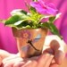 Wedding Favor Garden Succulent Planters - Custom Hand Painted Flower Pots - Weddings-Party-Shower Favors