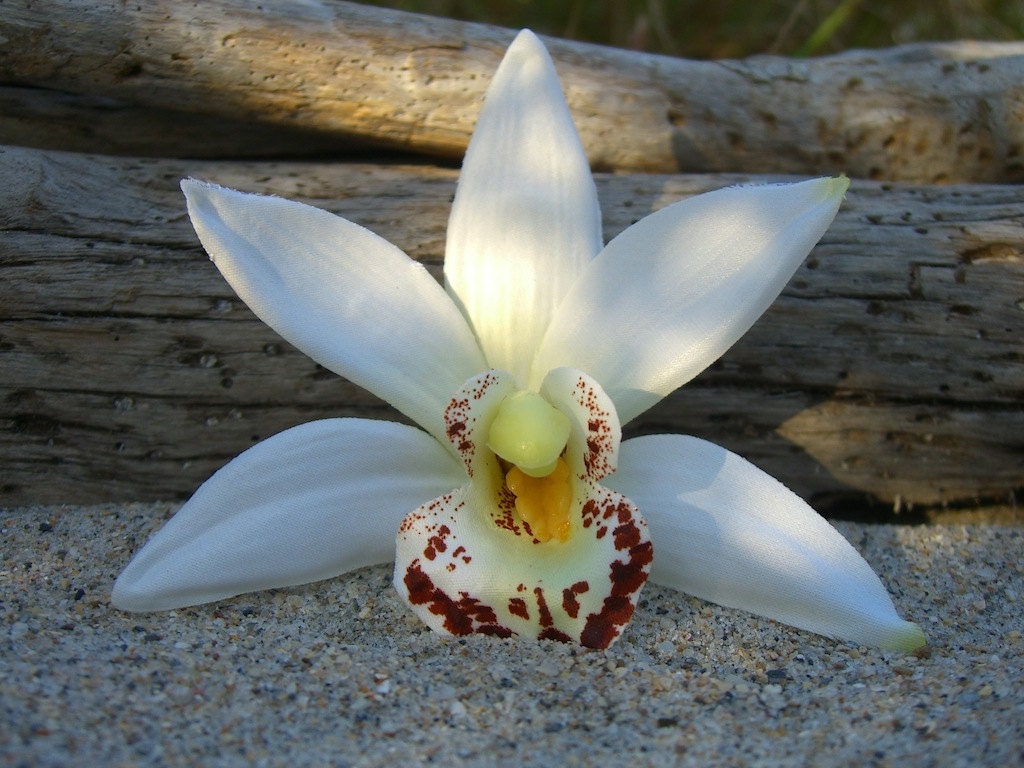 Orchid Hair Flower Clip-NATURAL WHITE-Beach Weddings, Bridal Hair Flower, White Orchid, Floral Hair Clip, Summer Wedding, Flower Hair Clip