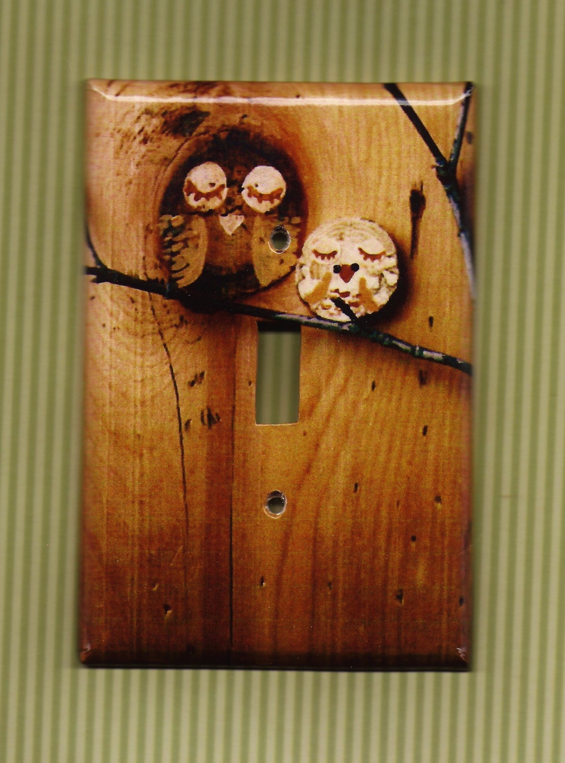 Save the Owls Switchplate cover