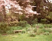Greeting Card "Spring Garden"