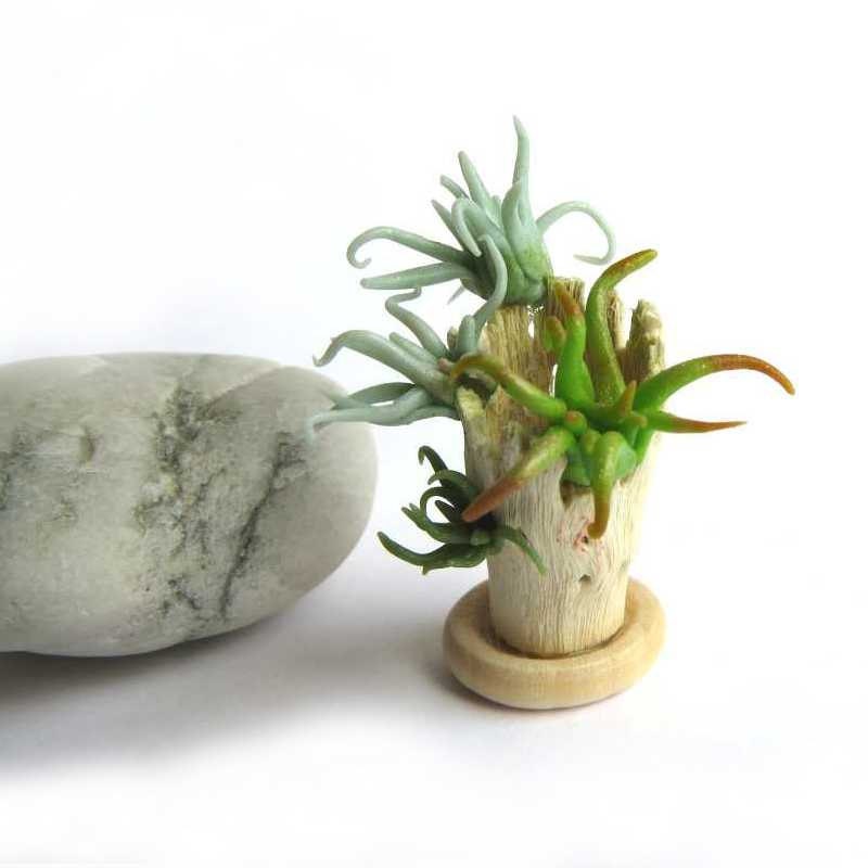 Dollhouse Tillandsia air plant faux in 1/12 scale