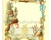 antique seashell and coral frame illustration digital