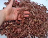 Teeswater Curls fleece 90 gr Hand dyed shades of brown for Doll Hair - Blythe Doll Hair ,  Art Dolls, blythe reroot  , spinning and felt