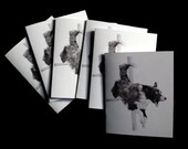 Blank Note Cards, Agility Dog Art, Black and White Border Collie Agility anine  Artwork Stationery - set of 6 cards
