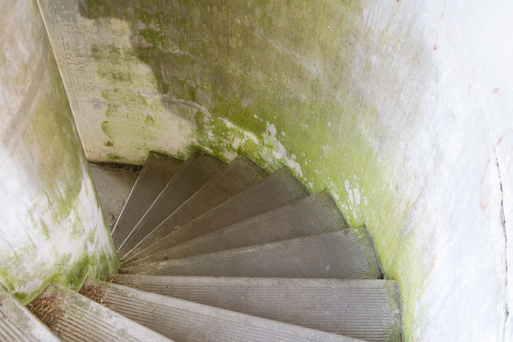 Stairs at Russell Battery, Fort Stevens, OR - 8 x 12 - NakedEye17Images