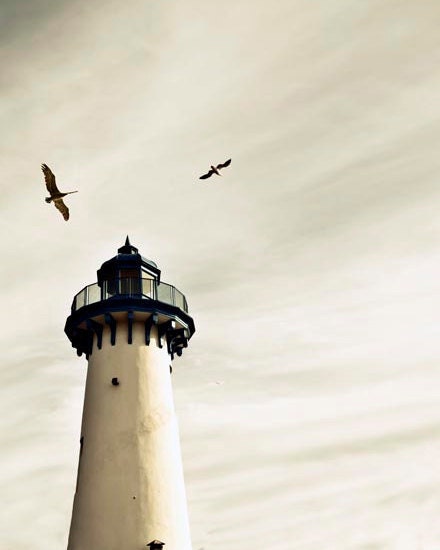 Lighthouse photography, beige, seascape, blue, navy, nautical, ombre, flying birds, minimalist, gray, wall decor, 8x10 - Raceytay