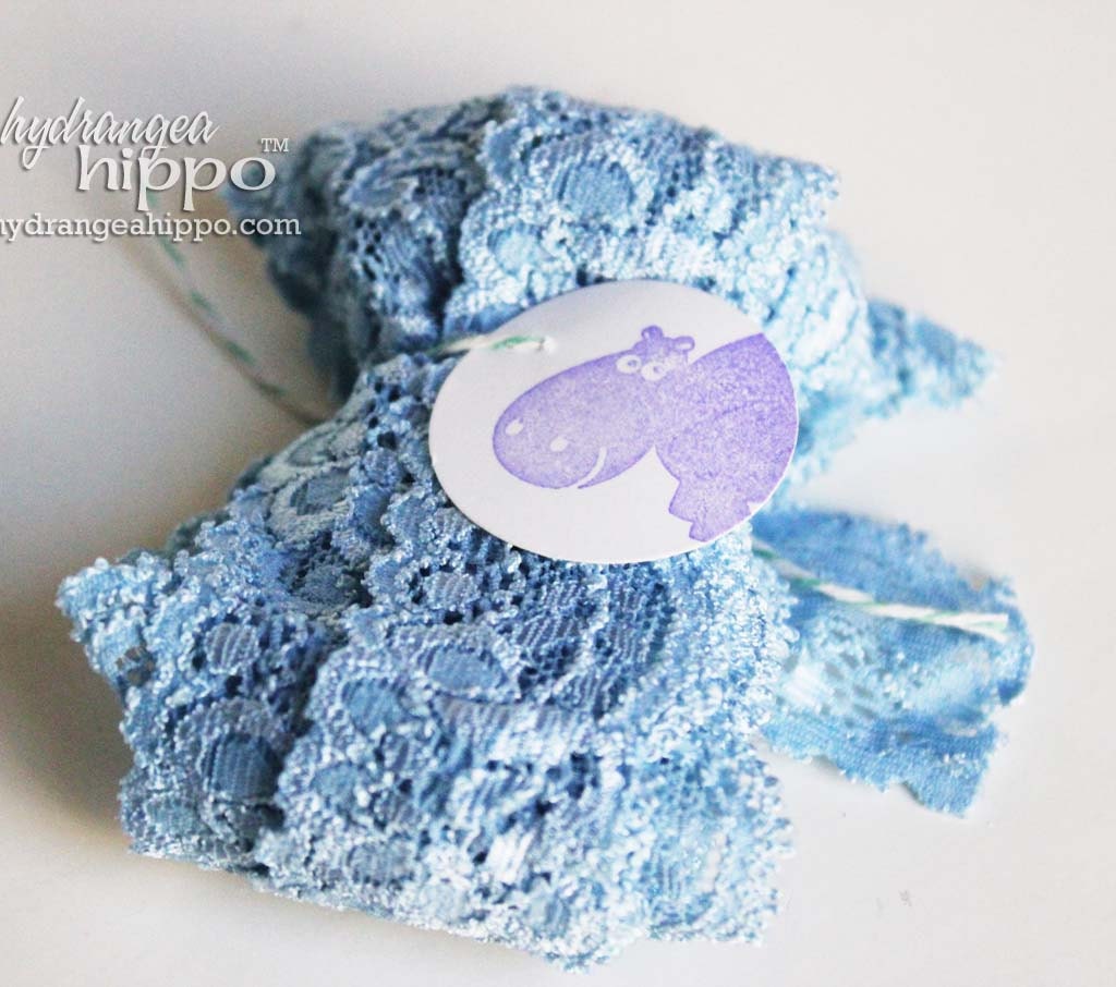Robins Egg Baby Blue Lace Trim - 3 Yards