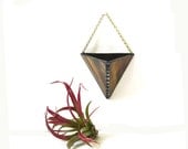 Modern air plant holder brown wood grain glass wall vase hanging planter