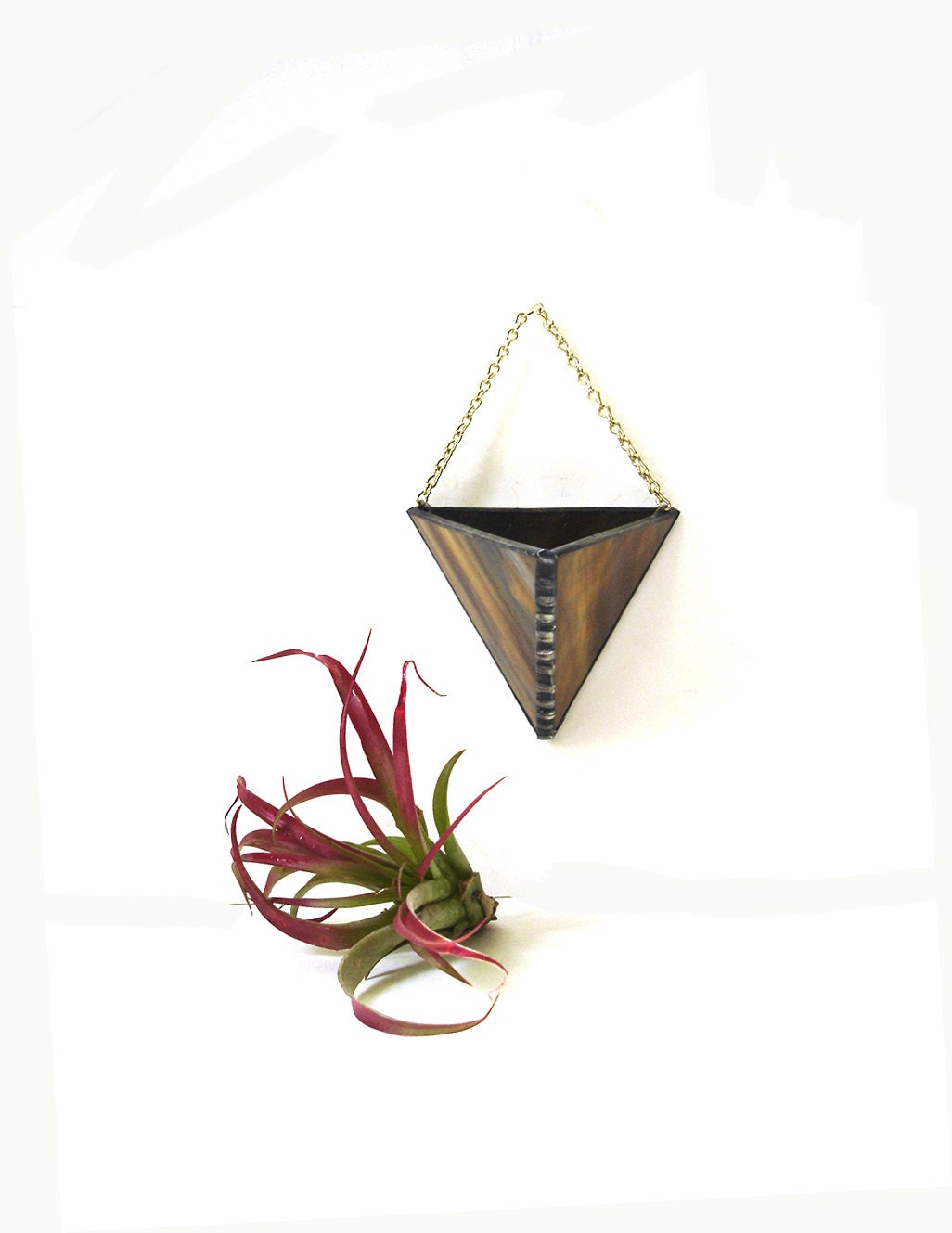 Modern air plant holder brown wood grain glass wall vase hanging planter