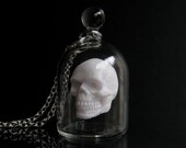 Skull in a Glass Jar Necklace