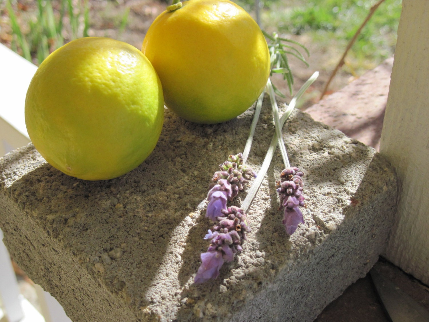 LEMON LAVENDER  Nail and Cuticle Aromatherapy Treatment  Natural Blendings Best Product  New Size 1 oz Jar