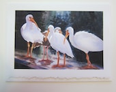 White Ibis, 5 x 7 note card watercolor print  Florida shorebirds birdlife wildlife art paper