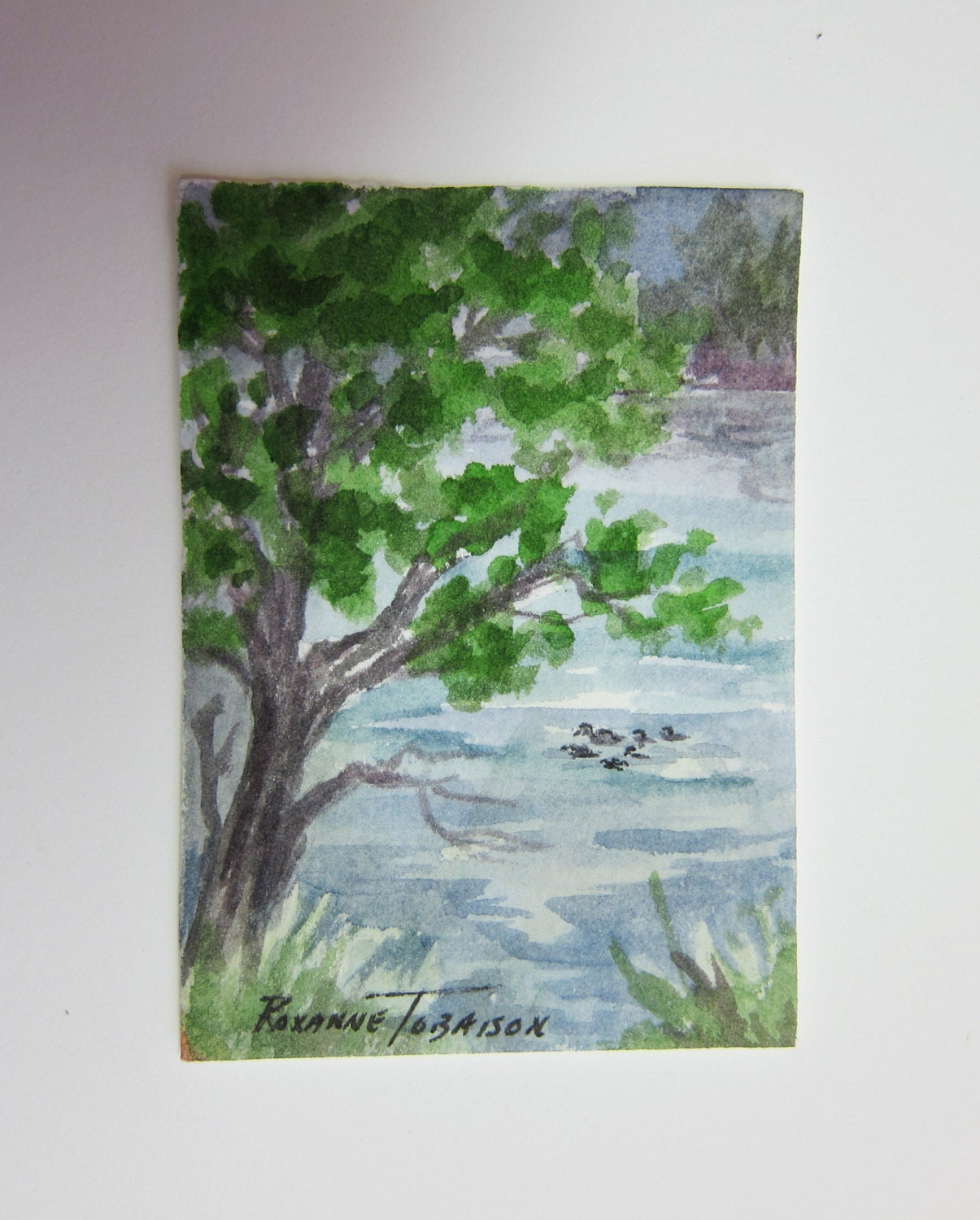 Little Ducks, Original Watercolor ACEO 398 WatercolorsNmore