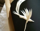 Vintage feather bird millinery piece 1940s