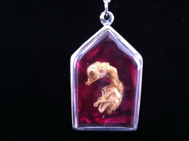 Memento Mori Necklace, Mummified Fetal Chicken Pendant, Mummy Fetus Jewelry