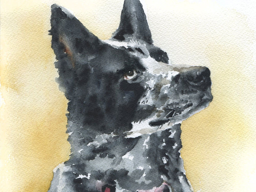 Custom Pet Portrait Original Watercolor Painting 8 x 10 - SusanWindsor