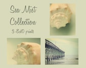 ocean photography set beach sea shell cottage decor pale blue green beige wall art coastal decor