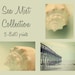 ocean photography set beach sea shell cottage decor pale blue green beige wall art coastal decor